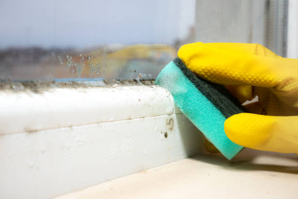 Best Mold Testing and Inspection Services in Fairfield, OH