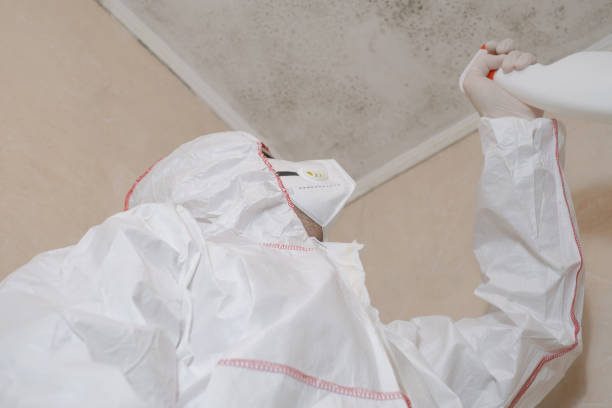 Best Bathroom Mold Remediation in Fairfield, OH