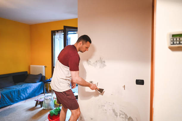 Best DIY Mold Remediation Support Services in Fairfield, OH